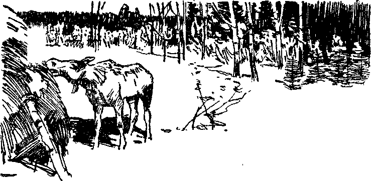Зимние тропы - i_003.png