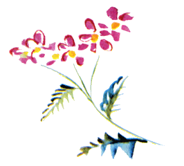 Байкала-озера сказки Том I разд.2 - i_083.png