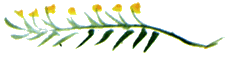 Байкала-озера сказки Том I разд.2 - i_085.png