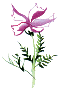 Байкала-озера сказки Том I разд.2 - i_092.png