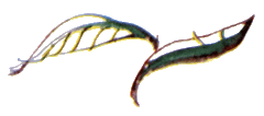 Байкала-озера сказки Том I  разд.3 - i_017.png
