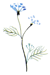 Байкала-озера сказки Том I  разд.3 - i_021.png
