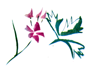 Байкала-озера сказки Том I  разд.3 - i_035.png