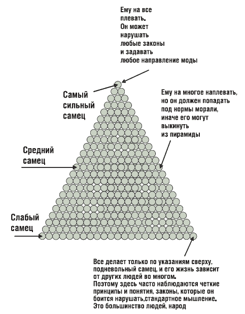 ЖЖизнь без трусов - i_002.png