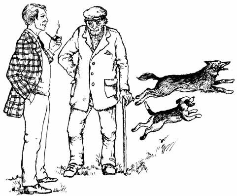 Собачьи истории - doc2fb_image_0200002a.jpg