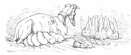 Aventures Et Mesaventures Du Baron De Munchhausen (illustre) - pic_22.jpg