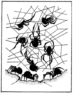 Первопоселенцы суши - i_024.png