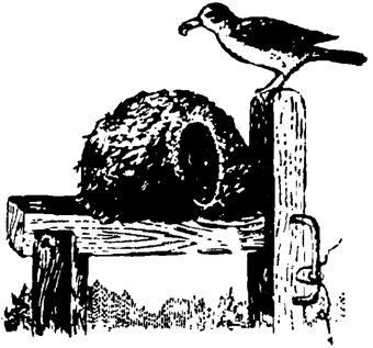 Причуды природы - i_083.png