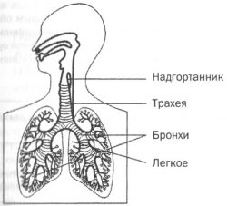 Управление голосом - i_004.jpg