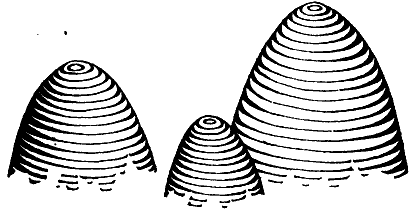 Брызги действительности - i_019.png