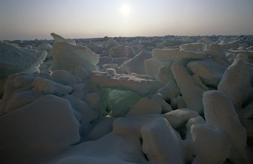 Климатократия - id59782_i506110794b