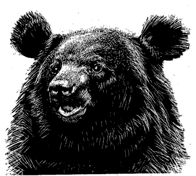 Мир Книги джунглей - i_010.png