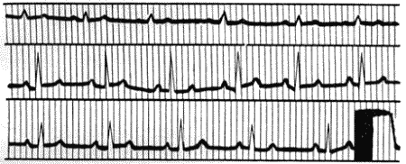 Болезни собак  - i_007.png