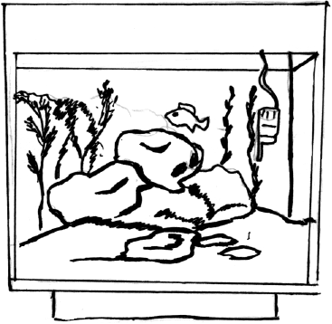 Аквариум. Практические советы - _03.png