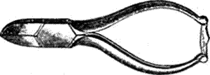Болезни собак. Краткое руководство. Наружные болезни - i_015.png