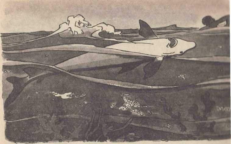 Большая жемчужина - i_007.jpg