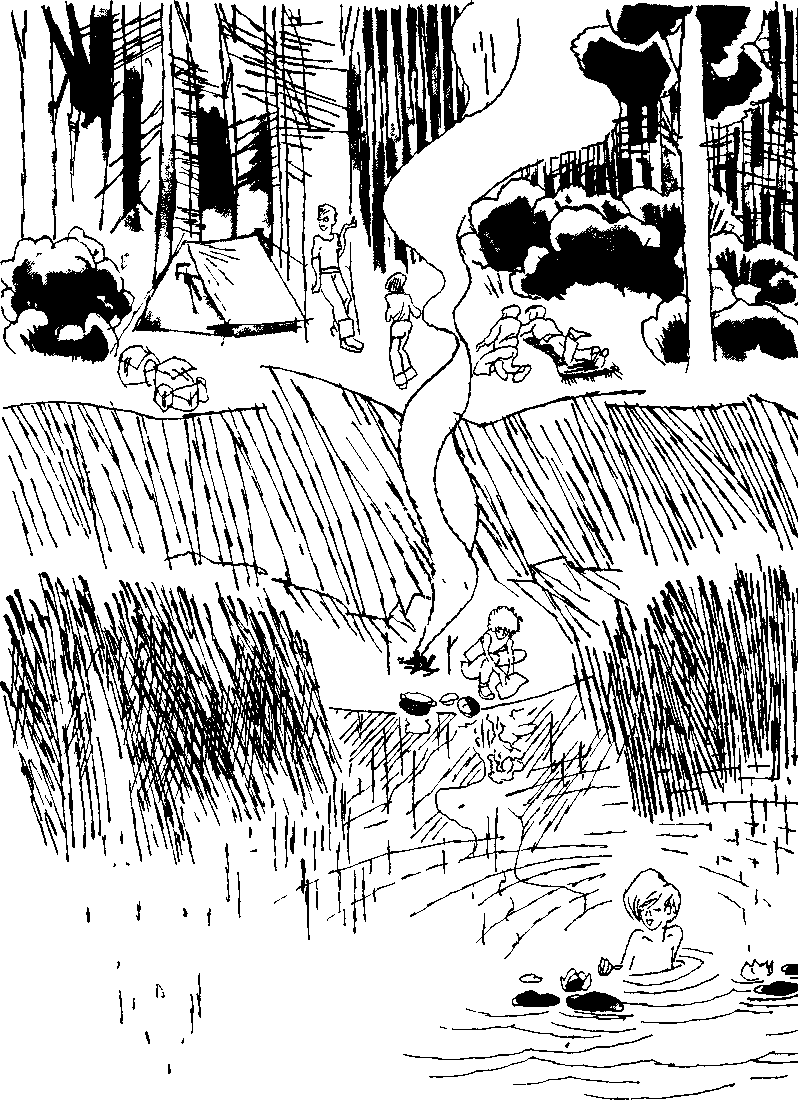 Дневник Толи Скворцова, путешественника и рыболова - i_004.png