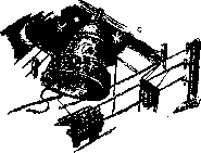 Аойя - rsl01002921844__015.png