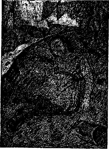 Аойя - rsl01002921844__058.png