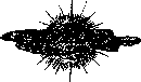 Аойя - rsl01002921844__113.png