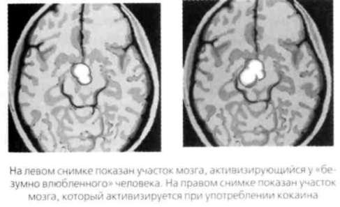 Почему мужчины хотят секса, а женщины любви - new3.jpg