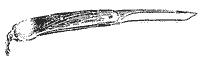 Морской волчонок (с иллюстрациями) - i_009.png