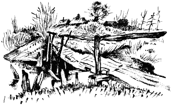 Портрет неизвестной в белом - i_11.png