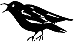 Саша и Маша - 3 - _3.png