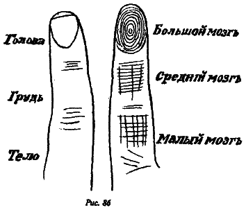 Полный курс хиромантии - i_078.png