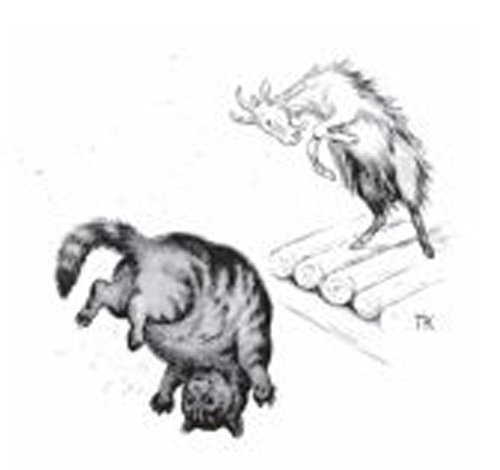 Волшебные сказки Норвегии - i_068.jpg