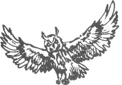 Изгнанник - i_002.jpg