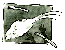 Цацики идет в школу - i_006.png