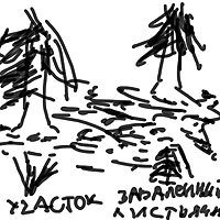 Американская ария князя Игоря - i_016.jpg