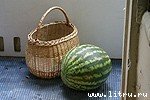 Журнал «Компьютерра» № 33 от 12 сентября 2006 года - _ogorod653_3.jpg