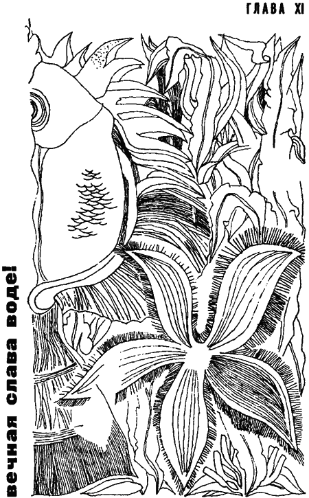 Занимательная биология - i_081.png