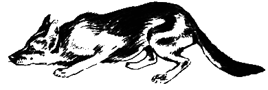 О чем лают собаки - pic_18.png