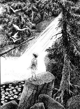 Рони, дочь разбойника - i_005.jpg