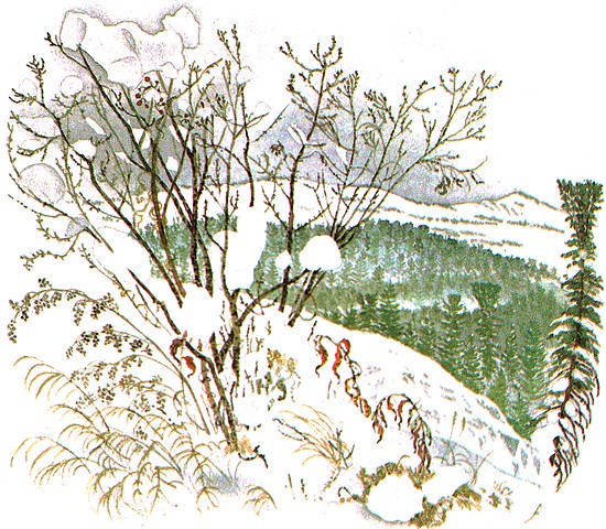 Золотая Ригма - i_002.jpg