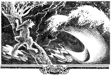 Миссия Огнезвезда. Книга 1. Искупление - i_015.png
