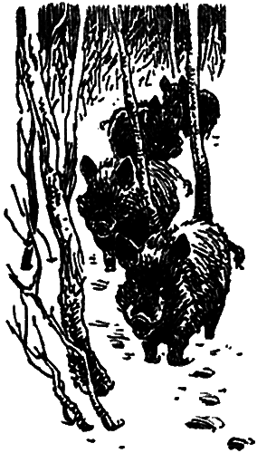 Тигровые каникулы - i_005.png