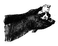 Парящий тигр - i_063.png