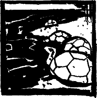 Тайны географических названий - i_019.png