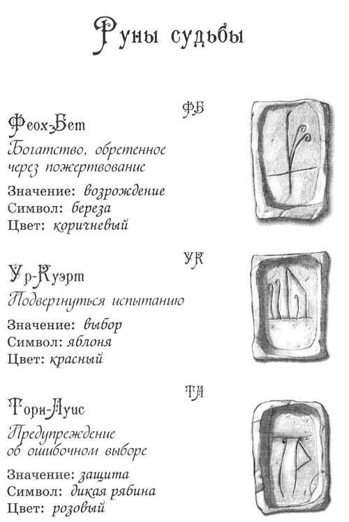 Джено и белая руна золотого сокола - i_004.jpg