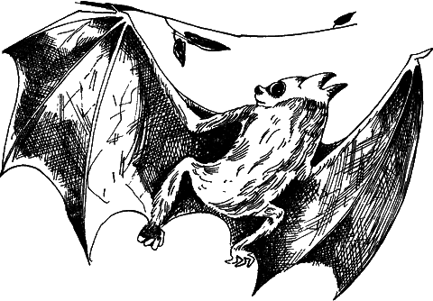 С вечера до утра - i_022.png