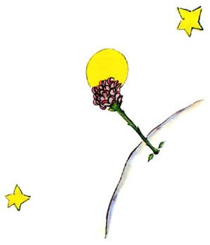 Маленький Принц - flower.jpg