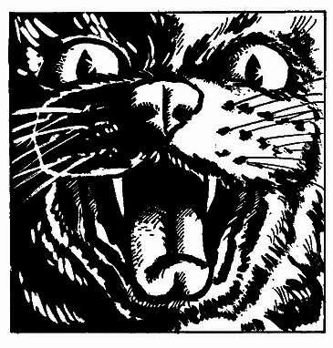 Бойся Кошек - i_021.png