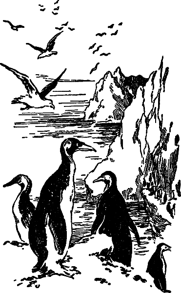 Загадки материков и океанов - i_035.png