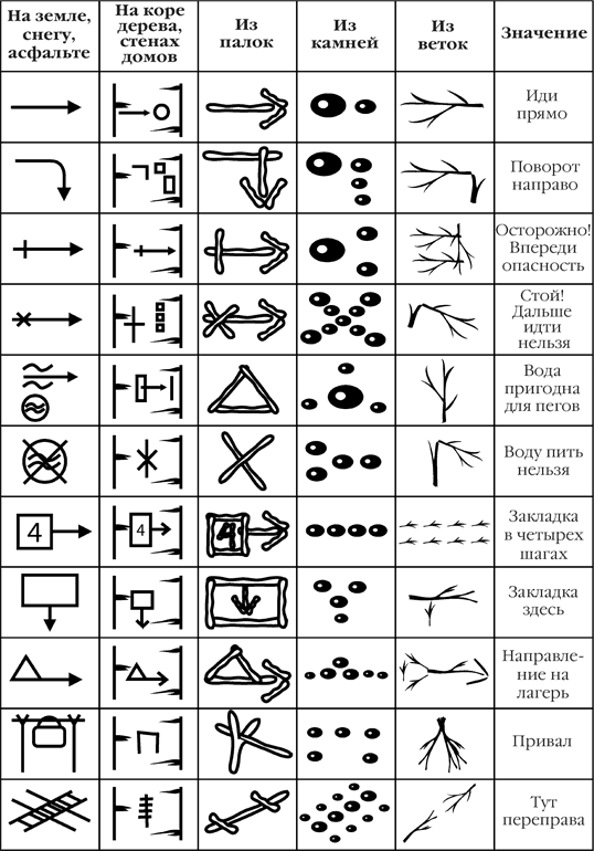 Стрекоза второго шанса - i_002.png