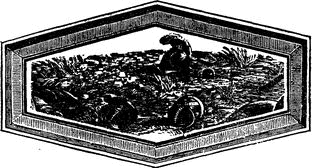 Герои 1812 года - i_008.png