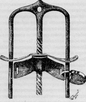 Не только Холмс. Детектив времен Конан Дойла (Антология викторианской детективной новеллы). - i_006.jpg